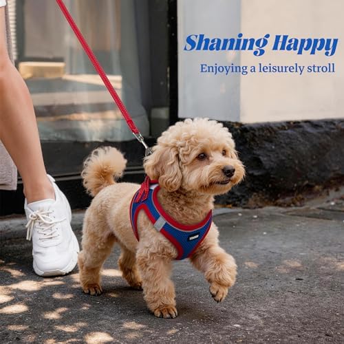No Pull Dog Puppy Harness and Leash Set Reflective Mesh Vest Large - Image 6