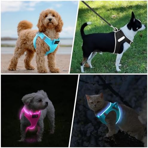 PcEoTllar Light Up Dog Harness, for Night Walking, Adjustable, Blue, L - Image 6