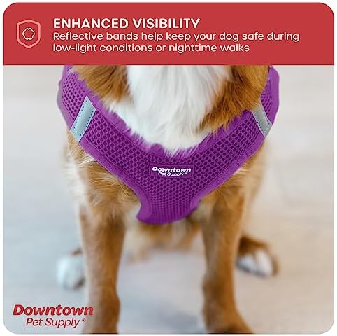 Downtown Pet Supply Step-in Dog Harness – No Pull, Adjustable Padded Mesh with Reflective Trim, Secure Buckle Strap – Comfortable & Breathable Small Dog Harness, XX-Small, Purple - Image 7