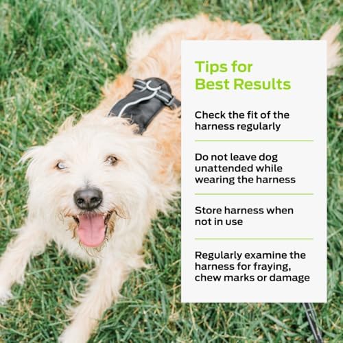 Premier Pet No Pull Comfort Dog Harness, Black, Small - Image 6
