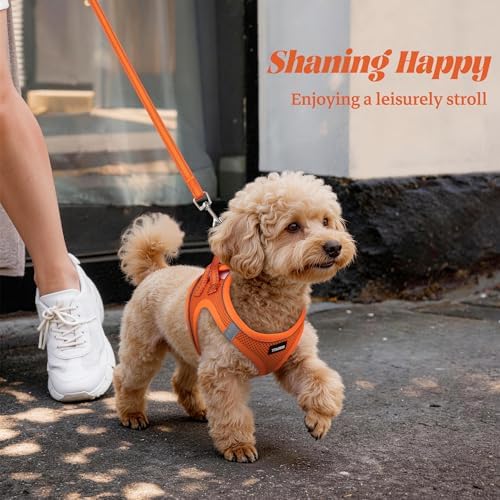 No Pull Dog Puppy Harness and Leash Set Reflective Mesh Vest XX-Small - Image 6