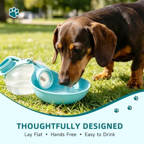 Dog Water Bottle Portable Pet Travel Bowl 2in1 Pet Drinking Feeder for Walk Outdoor 13.5oz Leak-Proof Dog Water Dispenser - Image 6