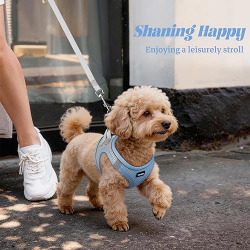 No Pull Dog Puppy Harness and Leash Set Reflective Mesh Vest Large - Image 6