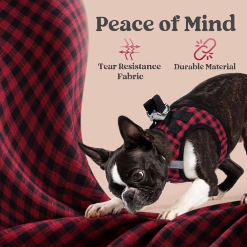 rabbitgoo Step-in Small Dog Harness, Puppy Vest for Small Sized Pet - Image 7