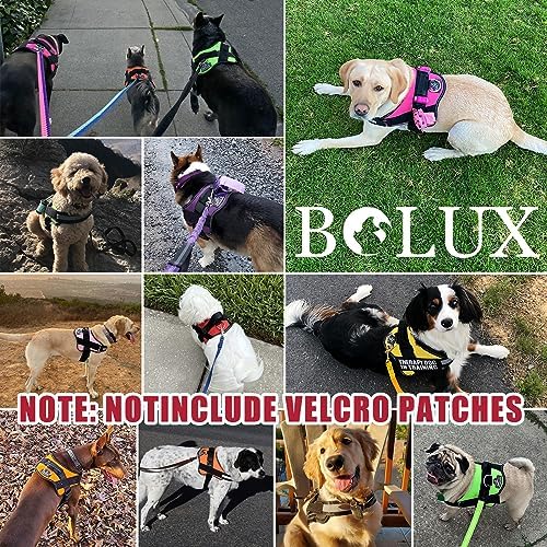 Bolux Dog Harness, No-Pull Reflective Dog Vest, Breathable Adjustable Pet Harness with Handle for Outdoor Walking - No More Pulling, Tugging or Choking (Flag, XS) - Image 5