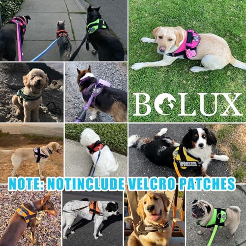 Bolux Dog Harness, No-Pull Reflective Dog Vest, Breathable Adjustable Pet Harness with Handle for Outdoor Walking - No More Pulling, Tugging or Choking (OceanicBlue, Small (Pack of 1)) - Image 7