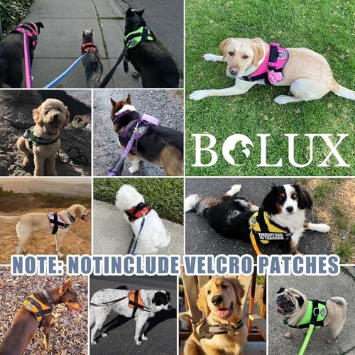 Bolux Dog Harness, No-Pull Reflective Dog Vest, Breathable Adjustable Pet Harness with Handle for Outdoor Walking - No More Pulling, Tugging or Choking - Image 7