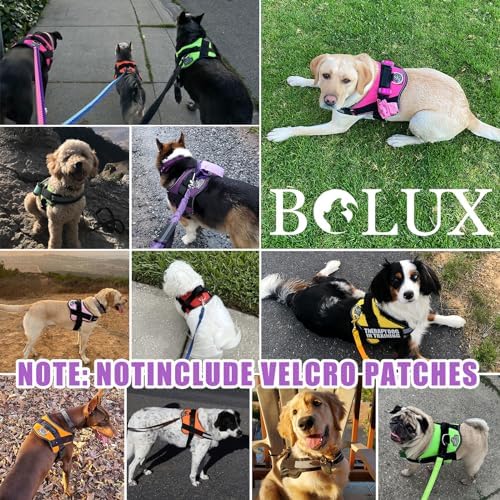 Bolux Dog Harness, No-Pull Reflective Dog Vest, Breathable Adjustable Pet Harness with Handle for Outdoor Walking - No More Pulling, Tugging or Choking (Lavender, Large (Pack of 1)) - Image 7