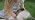 UCARI Pet Intolerances Insight Kit | Fur Analysis for Dogs & Cats | Screens 1100+ Intolerances: Foods, Ingredients, Nutritional & Environmental Items & Pet Care Products | At-Home Fur Sample Test Kit - Image 7