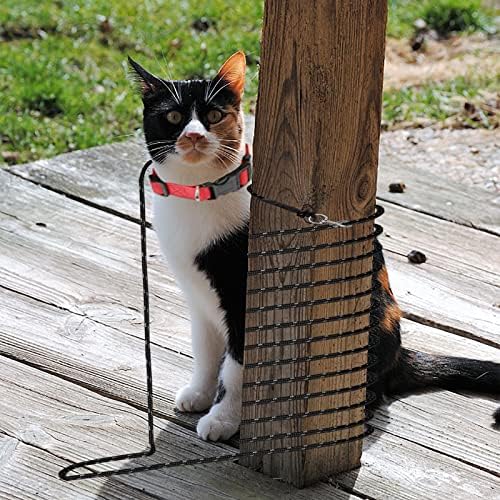 Extra Long Cat Leash for Yard, 15M/50FT Lightweight Outdoor Cat Leash Long Light Extension, Long Thin Lead for Rabbits, Kitten, Puppy and Small Animals - Image 7