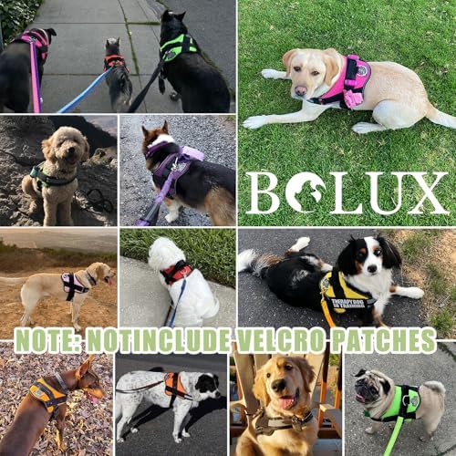 Bolux Dog Harness, No-Pull Reflective Dog Vest, Breathable Adjustable Pet Harness with Handle for Outdoor Walking - No More Pulling, Tugging or Choking - Image 7
