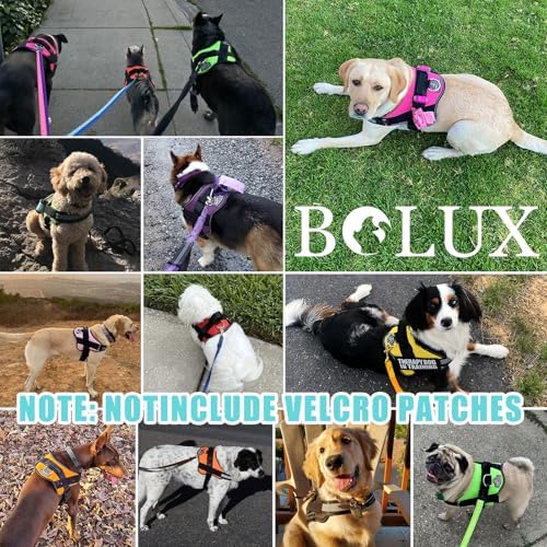 Bolux Dog Harness, No-Pull Reflective Dog Vest, Breathable Adjustable Pet Harness with Handle for Outdoor Walking - No More Pulling, Tugging or Choking - Image 7