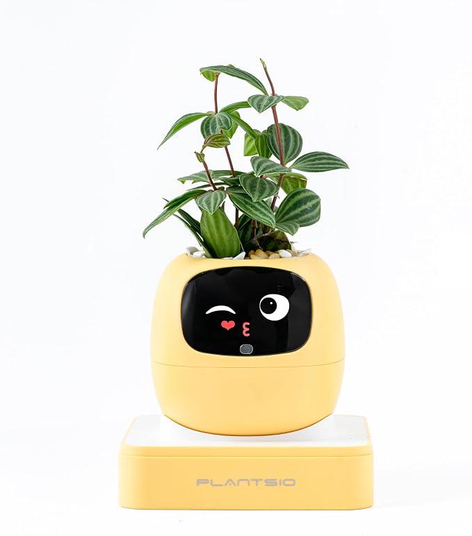PLANTSIO Ivy Interactive AI Desk Companion, Smart Plant Pet with 100+ Expressions, Cute Indoor Planter for Office Decor, Unique Gift for Plant Lovers & Coworkers(Lemon) - Image 9