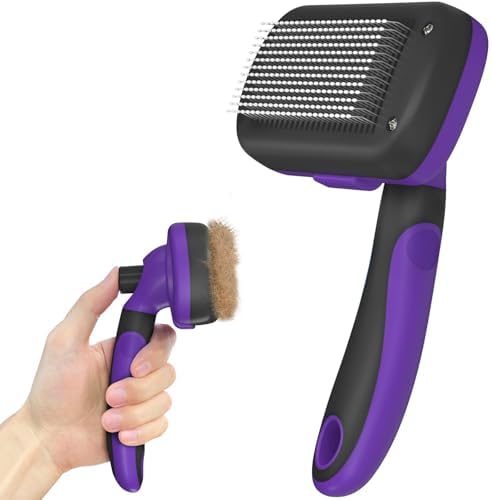 Cat Grooming 101: Brushes, Nail Care and Bath Tips
