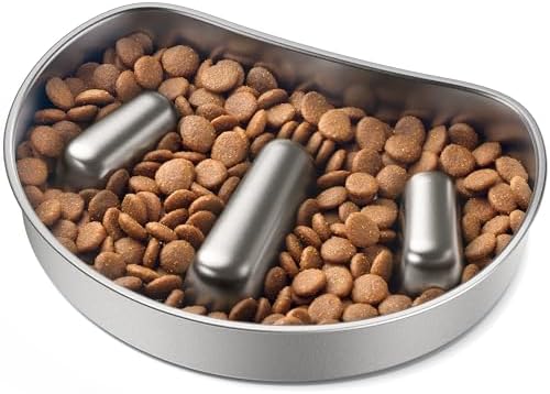 Automatic Feeders vs Traditional Bowls: Which is R