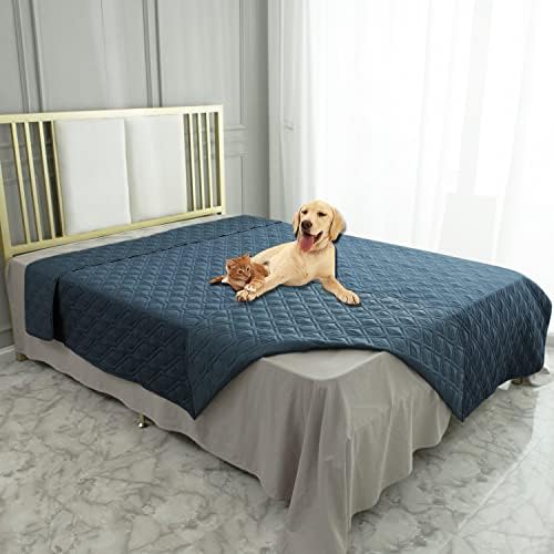 How to Choose the Perfect Dog Bed: Size, Material 