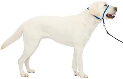PetSafe Gentle Leader No Pull Dog Headcollar, Royal Blue, Large by PetSafe