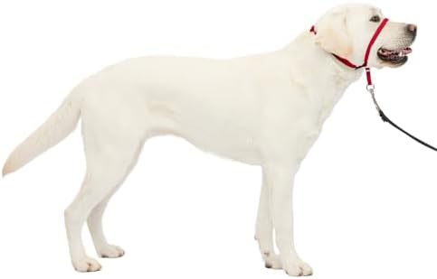 PetSafe Gentle Leader Headcollar No-Pull Dog Collar - Helps Improve Walks - Durable Nylon Construction - Padded Nose Loop - Adjustable Fit - Comfort Walking Halter - Large, Red by PetSafe