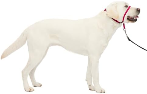 PetSafe Gentle Leader No Pull Dog Headcollar, Raspberry Pink, Large by PetSafe