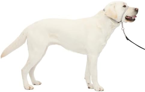 PetSafe Gentle Leader No Pull Dog Headcollar, Silver, Large by PetSafe