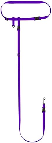 The Buddy System - Hands Free Dog Leash - Small Dog, Large Belt, Purple by TheBuddySystem