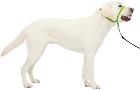 PetSafe Gentle Leader No Pull Dog Headcollar, Apple Green, Large by PetSafe