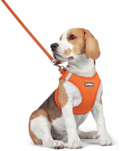 rabbitgoo Dog Harness Medium Sized and Leash Set, Step-in Puppy Pet Vest by rabbitgoo