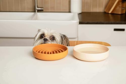 The Perfect Dish - Silicone Dog Bowl for Food & Water, 6" x 1.25"-Ocean - Image 6