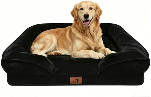 Spotted Play Orthopedic Dog Bed with Sides - Sofa Beds for Extra Large Dogs, Supportive Foam Pet Couch Bed with Washable Removable Cover, Waterproof Lining and Non-Slip Bottom, Black - XL by Spotted+Play