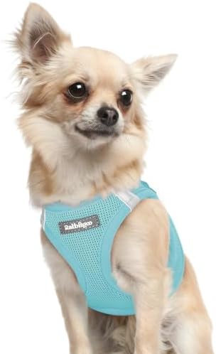 rabbitgoo Step-in Small Dog Harness, Puppy Vest for Small Sized Pet by rabbitgoo