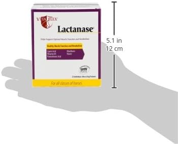 Vita Flex Pro Lactanase Pre Performance Horse Supplements, 25 g Packets, Show Safe Horse Muscle Supplement, for Energy, Metabolism & Stamina | Equine Metabolism Support - Image 3