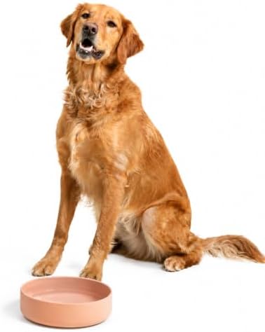 The Perfect Dish - Silicone Dog Bowl for Food & Water, 9.5" x 2.5"-Blush by ShouldWeGo