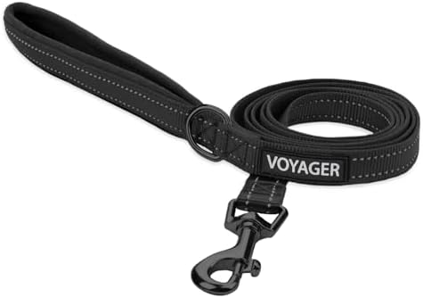 Best Pet Supplies Voyager Nylon Dog Leash - 6ft Black, Large by BestPetSuppliesLLC