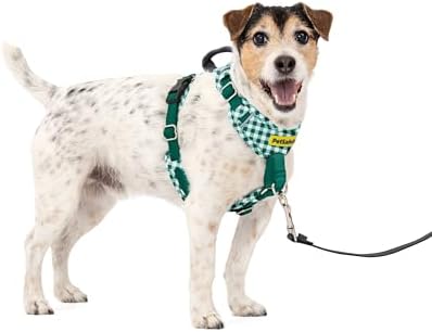 PetSafe Easy Walk Comfort No Pull Dog Harness, Green Gringham, Small by PetSafe