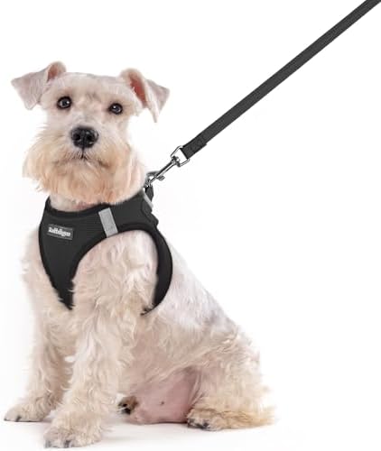 rabbitgoo Dog Harness Medium Sized and Leash Set, Step-in Puppy Pet Vest by rabbitgoo