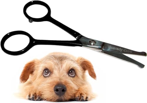 Tiny Trim 4.5" Ball-Tipped Scissor for Dog, Cat and all Pet Grooming - Ear, Nose, Face & Paw - Scaredy Cut's small Safety Scissor by ScaredyCut