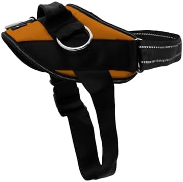 ShawnCo Essential Dog Harness, No-Pull Pet Vest (Sunset Orange,XL) by SHAWNCO