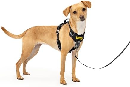 PetSafe Easy Walk Comfort No Pull Dog Harness, Black, Extra Small by PetSafe