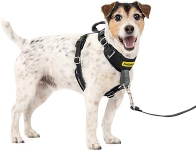 PetSafe Easy Walk Comfort No Pull Dog Harness, Black, Small by PetSafe