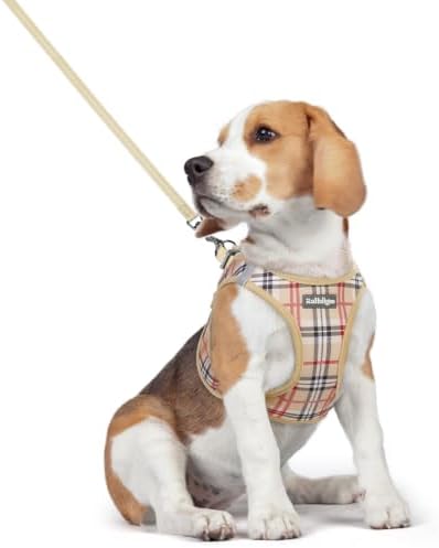 rabbitgoo Dog Harness Medium Sized and Leash Set, Step-in Puppy Pet Vest by rabbitgoo