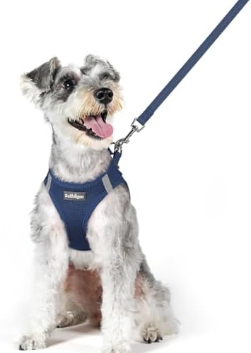 rabbitgoo Dog Harness Medium Sized and Leash Set, Step-in Puppy Pet Vest by rabbitgoo
