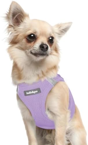 rabbitgoo Step-in Small Dog Harness, Puppy Vest for Small Sized Pet by rabbitgoo