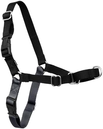 PetSafe Easy Walk Harness, No Pull Dog Harness, Charcoal Gray, Large by PetSafe