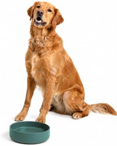 The Perfect Dish - Silicone Dog Bowl for Food & Water, 9.5" x 2.5"- Spruce by ShouldWeGo