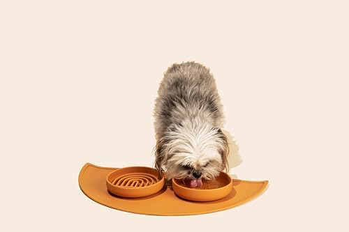 The Perfect Dish - Silicone Dog Bowl for Food & Water, 6"x1.25"-Terracotta - Image 5