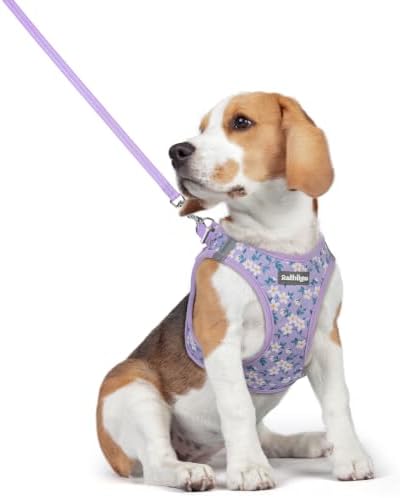 rabbitgoo Dog Harness Medium Sized and Leash Set, Step-in Puppy Pet Vest by rabbitgoo