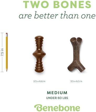 Benebone 2-Count Maplestick/Zaggler Durable Dog Chew Toys, Dog Bones, Medium (Pack of 6) - Image 4