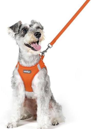 rabbitgoo Dog Harness Medium Sized and Leash Set, Step-in Puppy Pet Vest by rabbitgoo