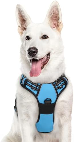 Eagloo Dog Harness for Large Dogs, No Pull Pet Vest with 2 Leash Clips by GoExplorewithEagloo