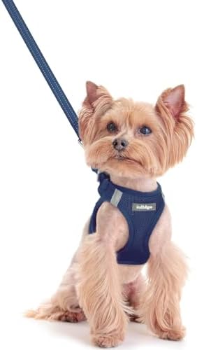 rabbitgoo Dog Harness Small Sized and Leash Set, Step-in Puppy Pet Vest by rabbitgoo